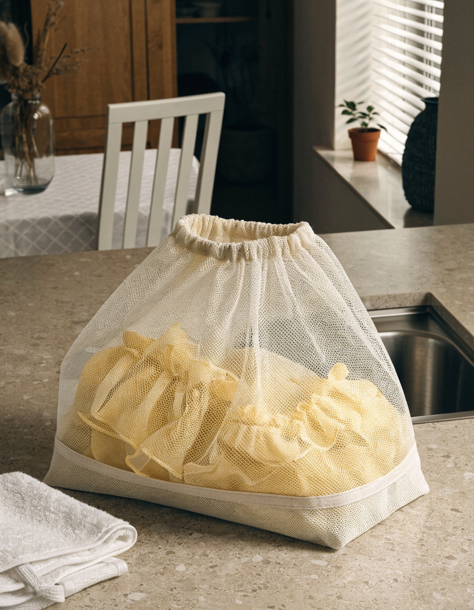 Illustrative visual for Woolite New And Improved Sanitized Treated- Large Mesh Wash Bag